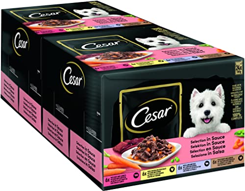 Cesar Adult Hundenassfutter Selektion in Sauce, 48 Portionsbeutel, 24x100g (2er Pack) – Ausgewogenes Premium Hundefutter nass, Auswahl mit Rind, Huhn, Lamm und Truthahn von Cesar