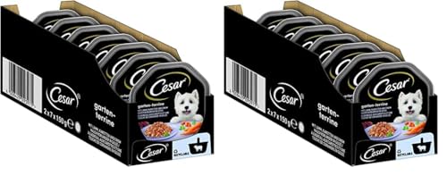 Cesar Hundefutter Nassfutter Garten-Terrine mit Lamm, Karotten und Koriander in Gelee, 14 Schalen (14 x 150g) (Packung mit 2) von Cesar