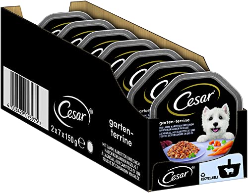 Cesar Hundefutter Nassfutter Garten-Terrine mit Lamm, Karotten und Koriander in Gelee, 14 Schalen (14 x 150g) von Cesar