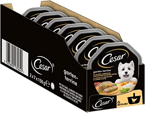 Cesar Hundefutter Nassfutter Gartenvielfalt mit Geflügel, Gemüse und Reis, 14 Schalen (14 x 150g) von Cesar