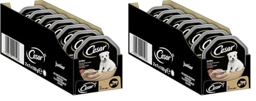 Cesar Hundefutter Nassfutter Junior für Welpen und Junge Hunde <1 Jahre mit Truthahn & Kalb in Pastete, 14 Schalen (14 x 150g), 2100 g (Packung mit 2) von Cesar