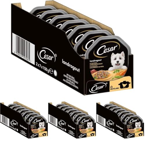 Cesar Hundefutter Nassfutter Landküche mit Geflügel und Gemüse in köstlicher Sauce, 14 Schalen (14 x 150g) (Packung mit 4) von Cesar