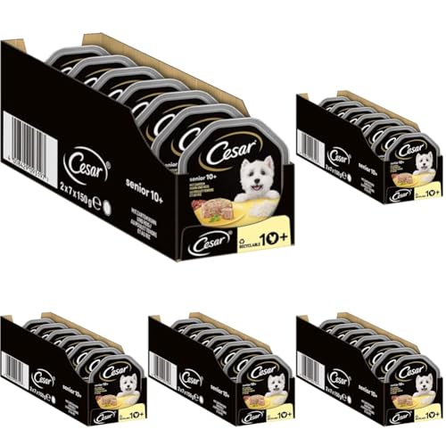 Cesar Hundefutter Nassfutter Senior 10+ mit zartem Huhn und Reis in Gelee, 14 Schalen (14 x 150g) (Packung mit 5) von Cesar