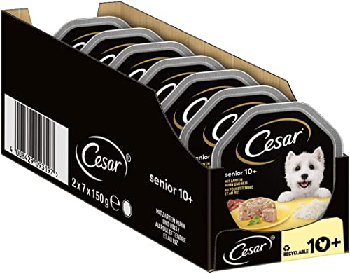 Cesar Hundefutter Nassfutter Senior 10+ mit zartem Huhn und Reis in Gelee, 14 Schalen (14 x 150g) von Cesar