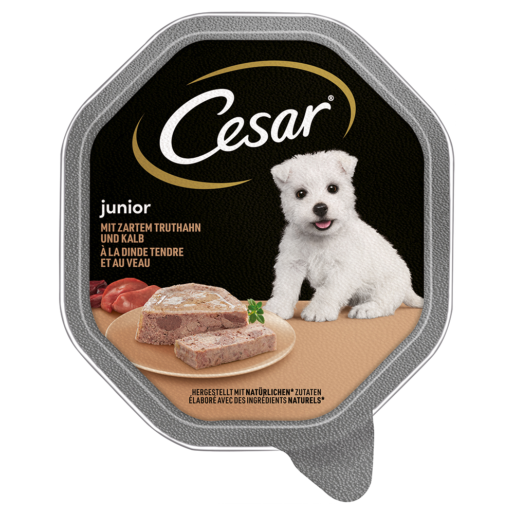 Cesar Junior Schale 14 x 150 g - mit Truthahn und Kalb von Cesar