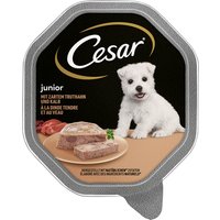 Cesar Junior Schale 14 x 150 g - mit Truthahn und Kalb von Cesar