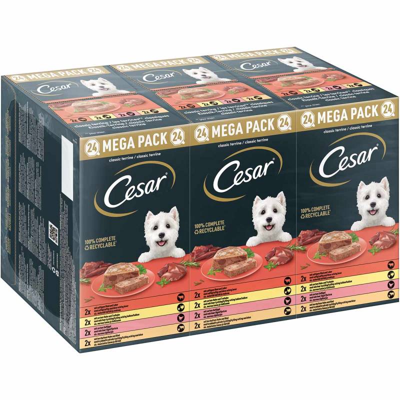 Cesar Klassik-Terrine 4 Varietäten Schale 24x150g von Cesar