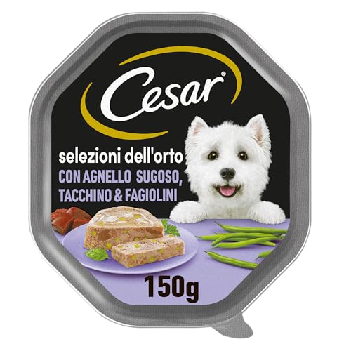 Cesar Auswahl des Gemüsegartens Nassfutter für Hunde, mit saftigem Lamm, Truthahn und Bohnen in Gelee, 150 g, 14 Schalen von Cesar