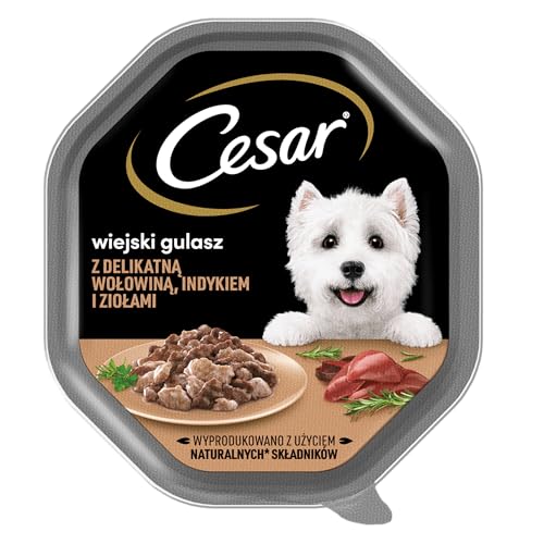 Cesar Landragout Nassfutter für ausgewachsene Hunde mit zartem Truthahn, Rind und Kräutern, Schale 6 x 150g von Cesar