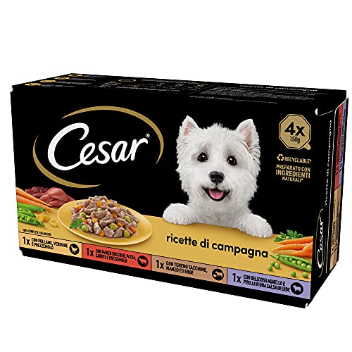 Cesar Landrezepte Hundefutter, sortierte Auswahl, 150 g, 24 Schalen - 3600 g von Cesar