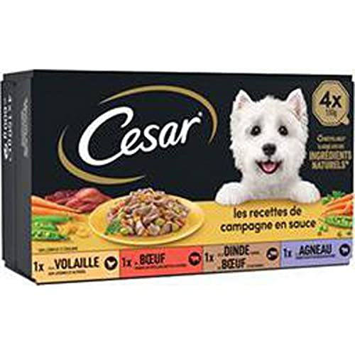 César Les Recettes de Campagne Mini-Netze in Sauce für Hunde, 4 Schalen à 150 g (4 Stück) von Cesar