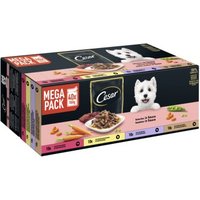 Cesar Mega Pack Portionsbeutel Selektion in Sauce 4 Varietäten 40x100g von Cesar