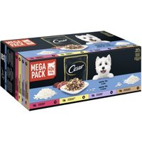 Cesar Mega Pack Portionsbeutel Senior 10+ in Gelee 4 Varietäten 40x100g von Cesar