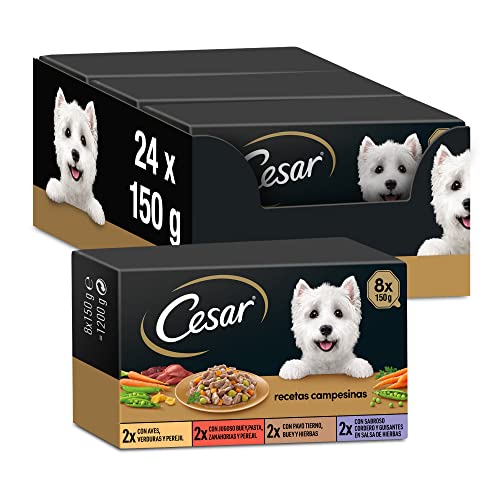 Cesar Multipack von feuchten Lebensmittelwannen in Salsa, Auswahl von Bauernrezepten (Pack 3 x 8 Tarrin x 150g) von Cesar