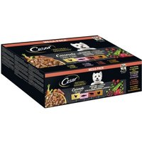 Cesar NATURAL GOODNESS Mega-Pack Casserole in Sauce 4 Varietäten 24 x 100g von Cesar