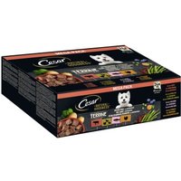 Cesar NATURAL GOODNESS Mega-Pack Terrine 4 Varietäten 24 x 100g von Cesar