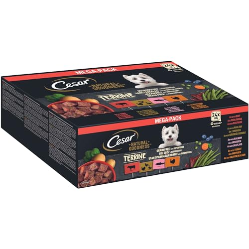 Cesar NATURAL GOODNESS Premium Hunde Nassfutter in der Schale 4 Varietäten in Sauce in Terrine Megapack 24x100g von Cesar