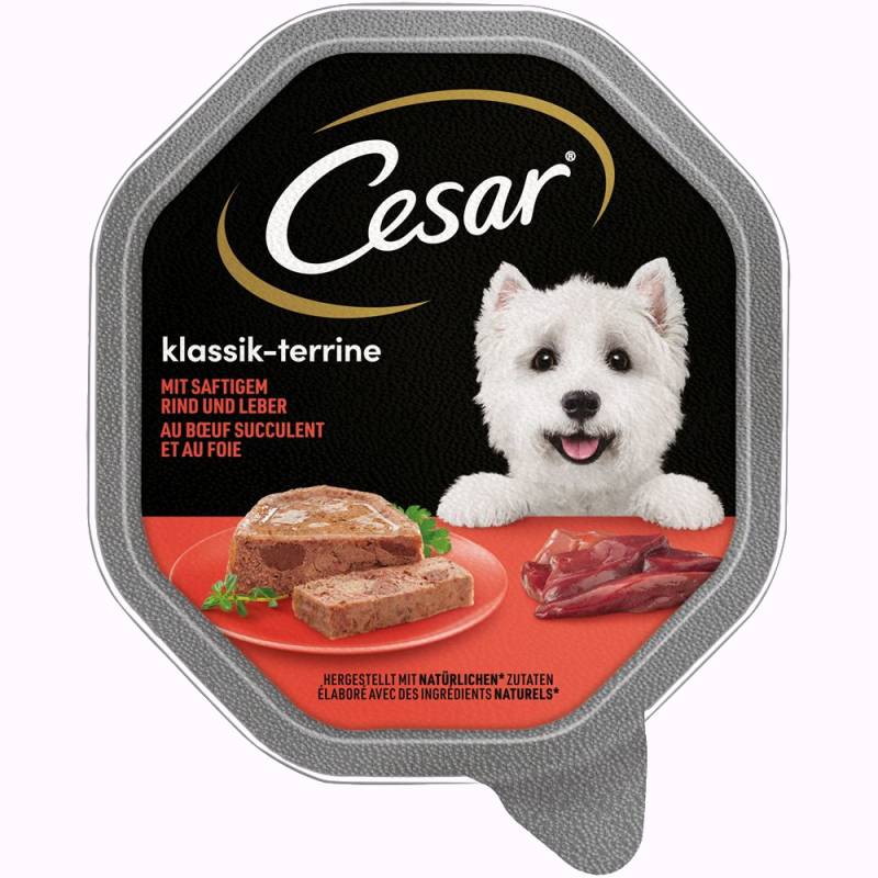 Cesar Nasfutter für Hunde zum Sonderpreis! - Megapack Klassiker mit saftigem Rind und Leber (14 x 150 g) von Cesar