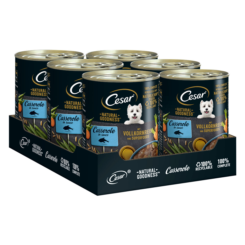 Cesar Nasfutter für Hunde zum Sonderpreis! - Natural Goodness Fisch und Superfoods (6 x 400 g) von Cesar