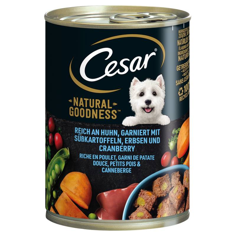 Cesar Nasfutter für Hunde zum Sonderpreis! - Natural Goodness Huhn (6 x 400 g) von Cesar