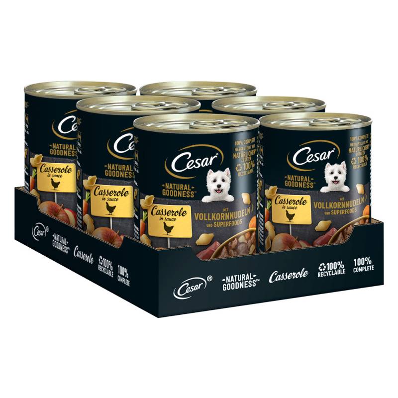 Cesar Nasfutter für Hunde zum Sonderpreis! - Natural Goodness Huhn und Superfoods (6 x 400 g) von Cesar