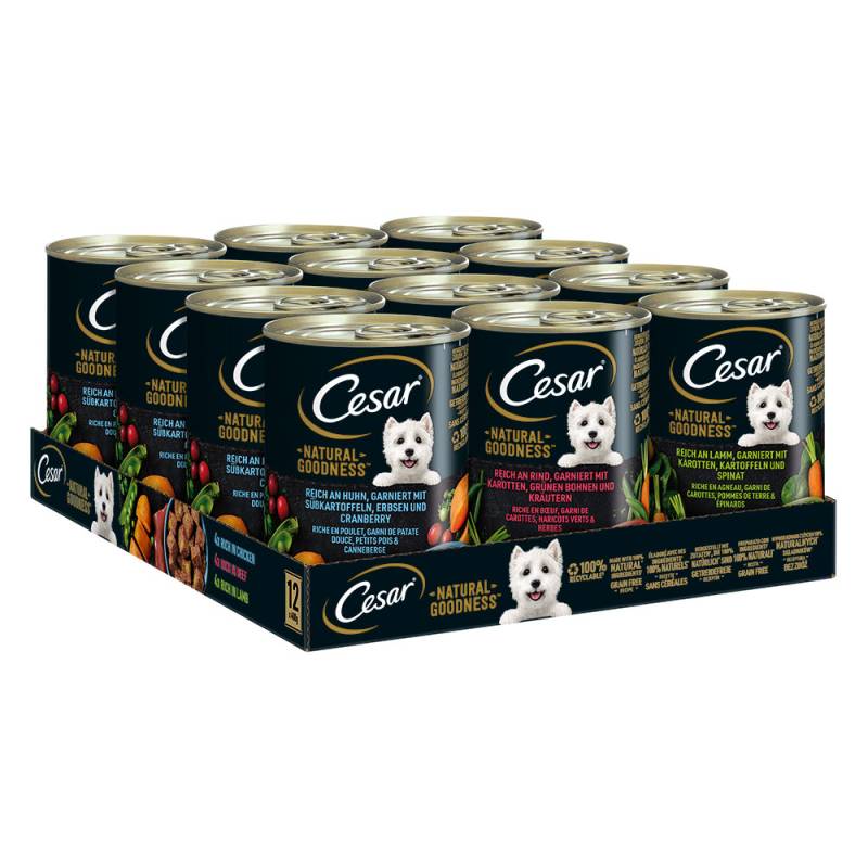 Cesar Nasfutter für Hunde zum Sonderpreis! - Natural Goodness: Multipack 3 Varietäten (12 x 400 g) von Cesar