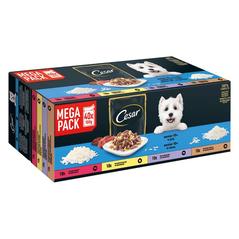 Cesar Nasfutter für Hunde zum Sonderpreis! - Portionsbeutel in Gelee Senior 10+ (40 x 100 g) von Cesar