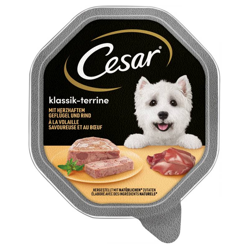 Cesar Nassfutter zum Sonderpreis! - Megapack Klassik-Terrine mit Geflügel und Rind (14 x 150 g) von Cesar