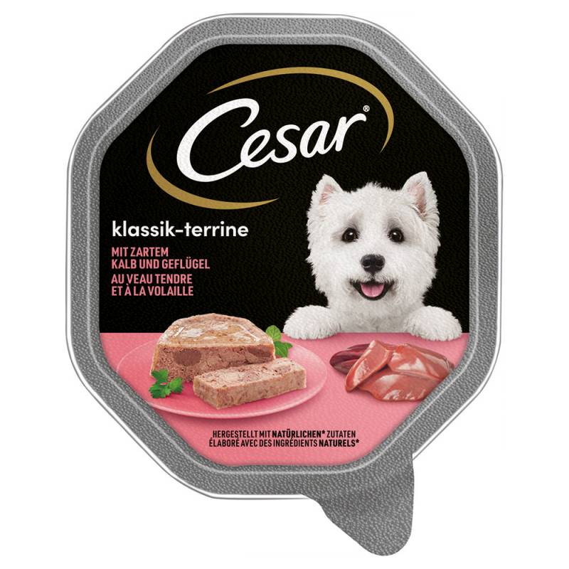 Cesar Nassfutter zum Sonderpreis! - Megapack Klassik-Terrine mit Kalb und Geflügel (14 x 150 g) von Cesar