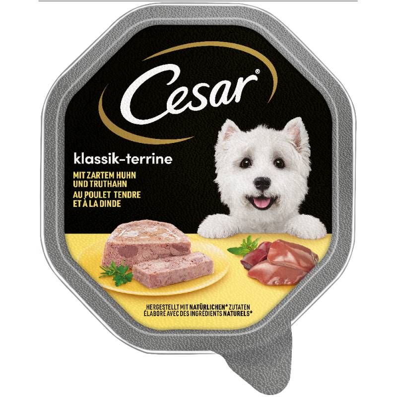 Cesar Nassfutter zum Sonderpreis! - Megapack Klassiker mit zartem Huhn & Truthahn (14 x 150 g) von Cesar