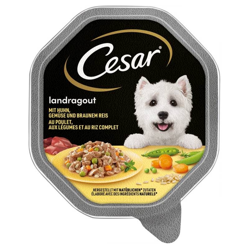 Cesar Nassfutter zum Sonderpreis! - Megapack Landragout mit Huhn, Gemüse und braunem Reis (14 x 150 g) von Cesar