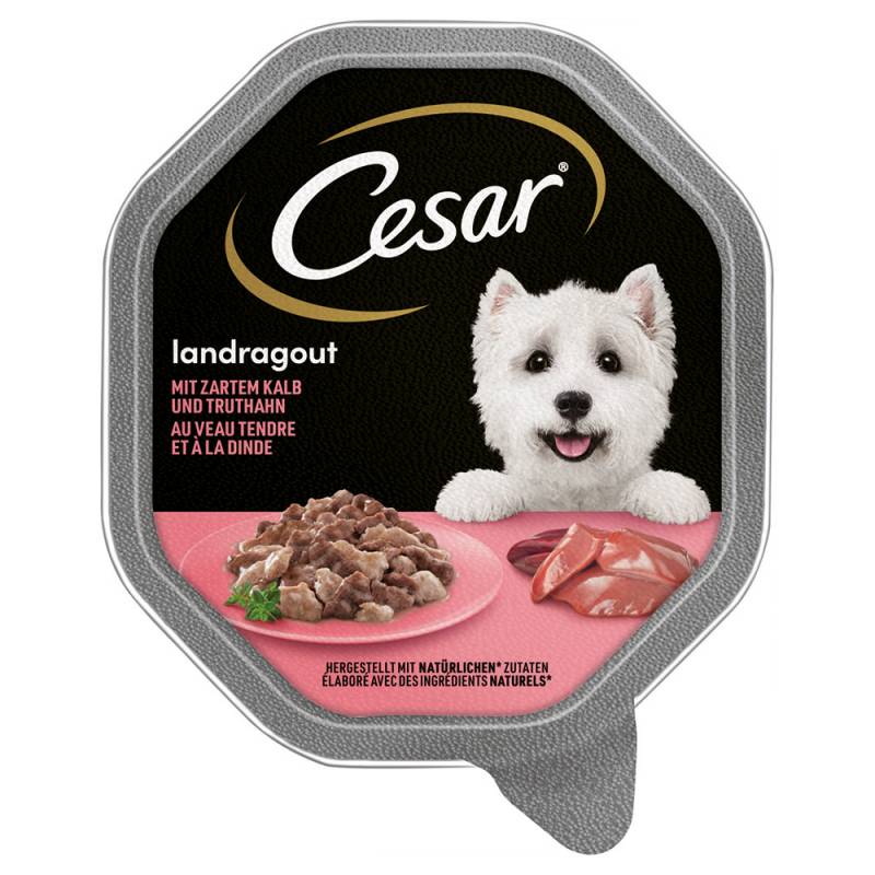 Cesar Nassfutter zum Sonderpreis! - Megapack Landragout mit Kalb und Truthahn (14 x 150 g) von Cesar