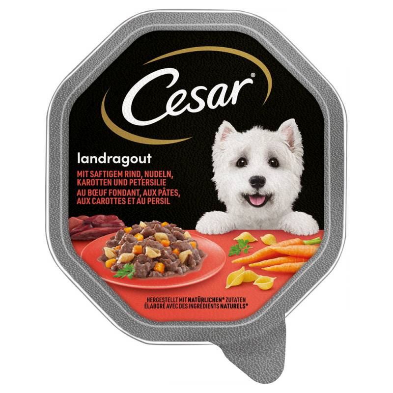 Cesar Nassfutter zum Sonderpreis! - Megapack Landragout mit Rind, Nudeln und Karotten (14 x 150 g) von Cesar