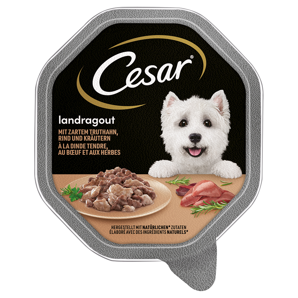 Cesar Nassfutter zum Sonderpreis! - Megapack Landragout mit Truthahn, Rind und Kräutern (14 x 150 g) von Cesar