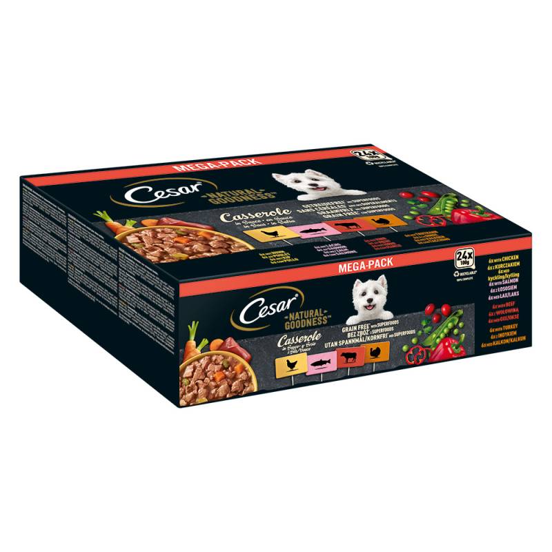 Cesar Nassfutter zum Sonderpreis! - Natural Goodness: Casserole in Soße (Lachs, Huhn, Rind, Truthahn) (24 x 100 g) von Cesar