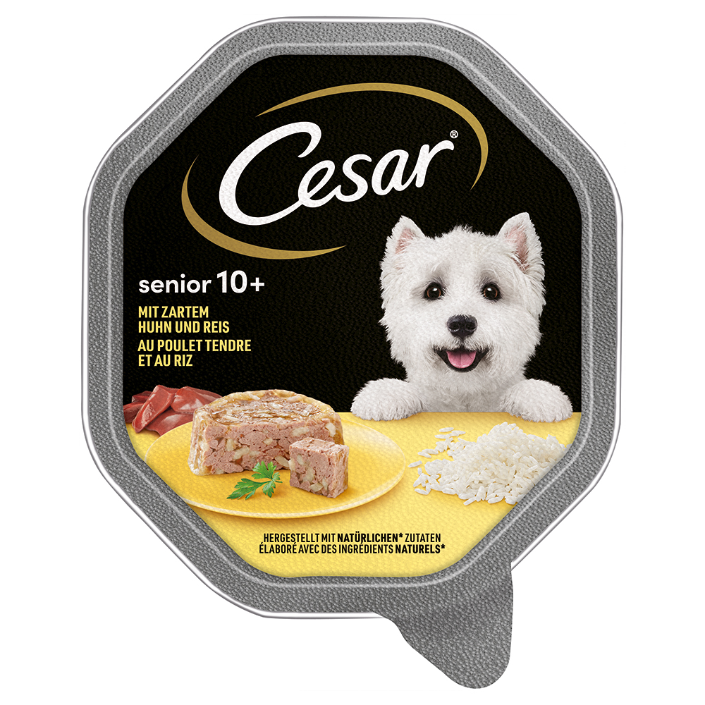 Cesar Nassfutter zum Sonderpreis! - Senior 10+ mit Huhn und Reis (14 x 150 g) von Cesar