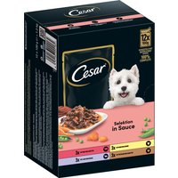 Cesar Selektion Fleisch und Gemüse in Sauce - 12 x 100 g von Cesar