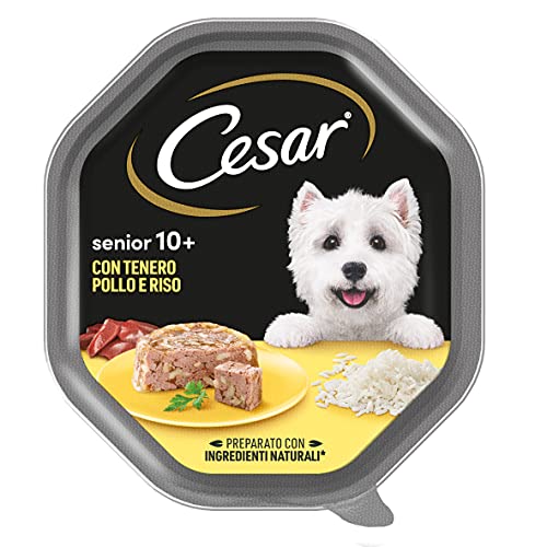 Cesar Senior 10+ Hundefutter mit zartem Huhn und Reis, 150 g, 14 Schalen von Cesar