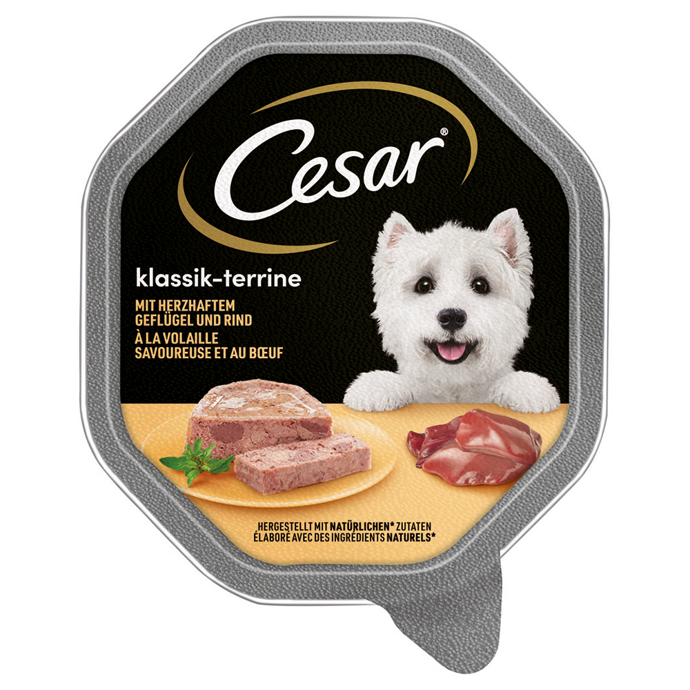 Megapack Cesar Schale 14 x 150 g - Klassik-Terrine mit Geflügel und Rind von Cesar