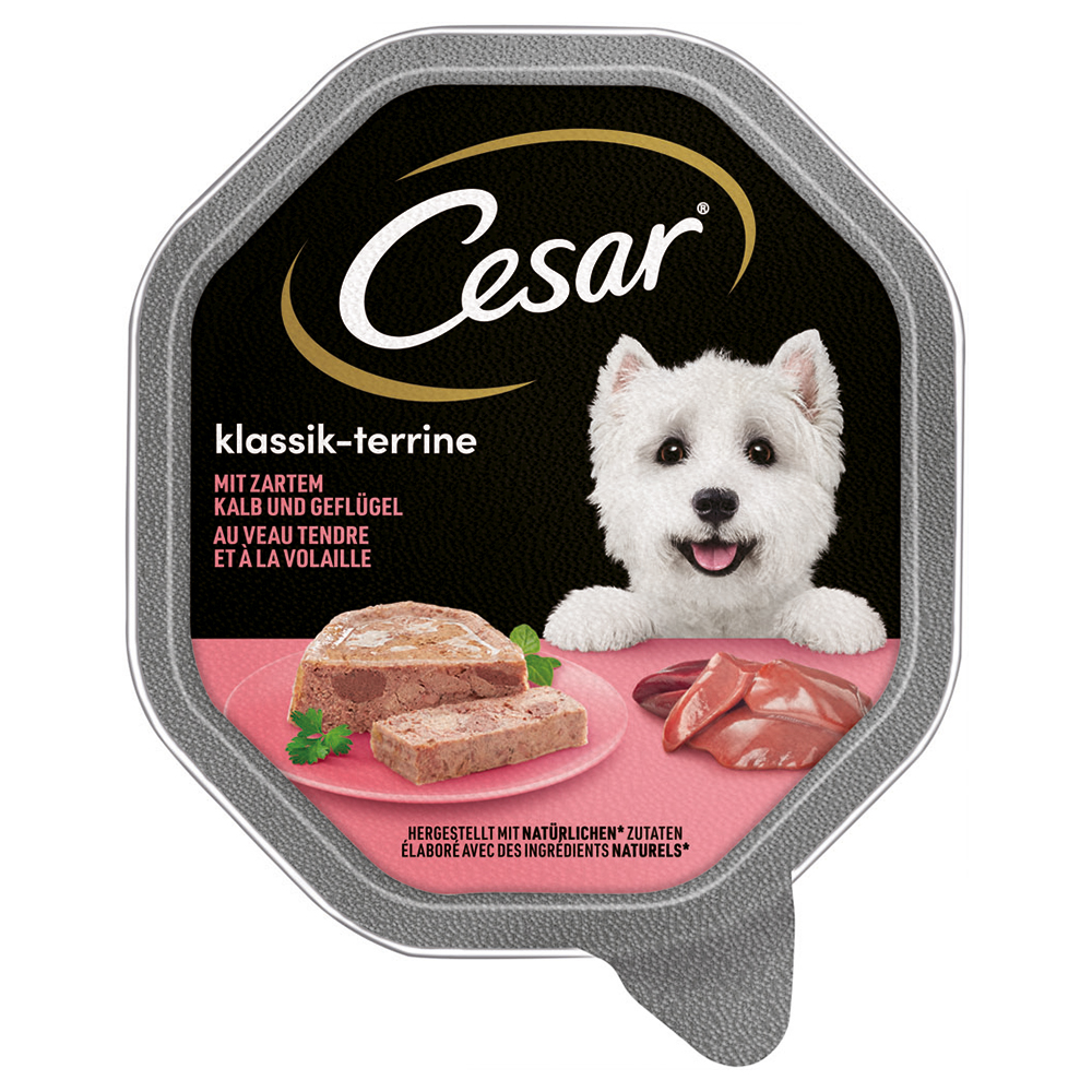 Megapack Cesar Schale 14 x 150 g - Klassik-Terrine mit Kalb und Geflügel von Cesar