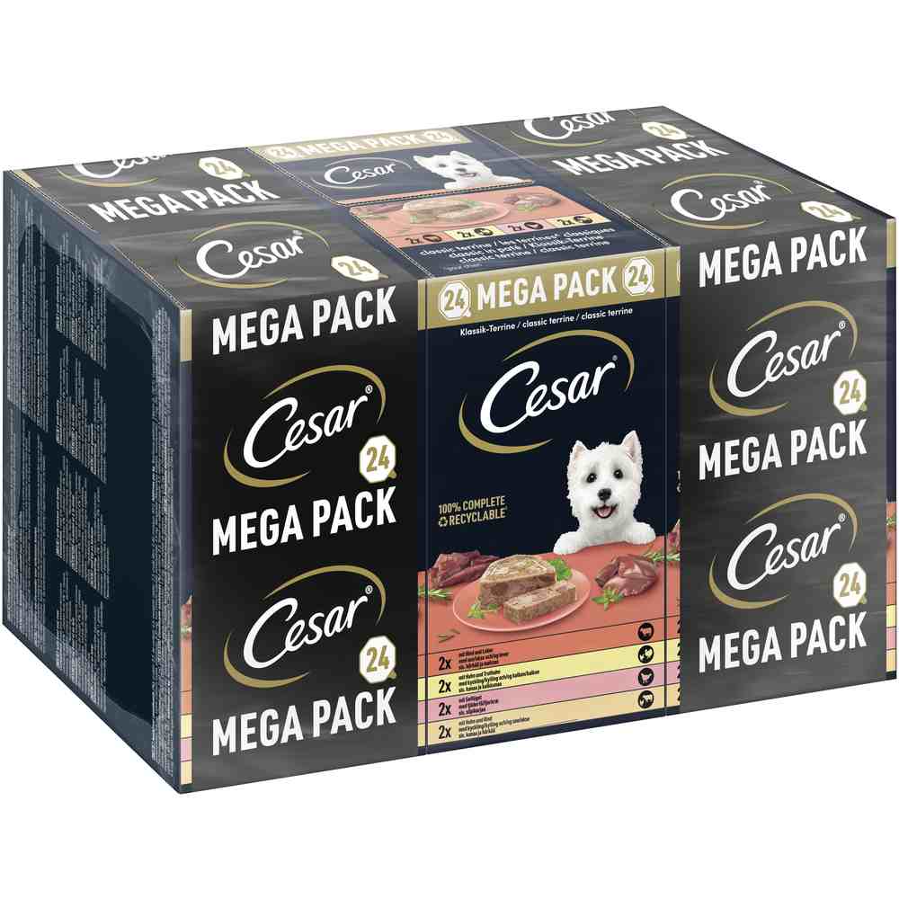 Megapack Cesar Schale 24 x 150 g - Classic Terrine von Cesar