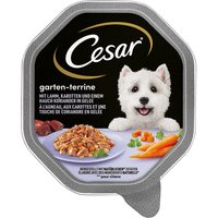 Sparpaket Cesar Schale 28 x 150 g - Lamm, Karotten und Koriander in Gelee von Cesar