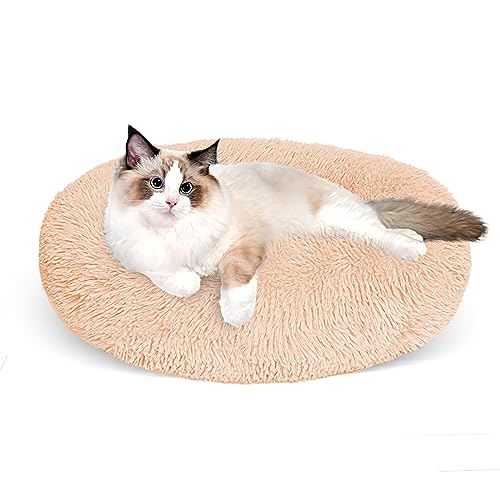 Cgzmlucky Katzenbett für Indoor-Katzen, 61 cm, Katzenbett & Hundebett, maschinenwaschbar, flauschiges rundes Haustierbett, rutschfest, beruhigend, weiches Plüsch-Donut-Kuschelkissen, selbstwärmend für von Cgzmlucky