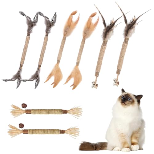 ChAusa 8 Stück Kausticks für Katzen, Matatabi Stick Katze, Katzenspielzeug, Sticks für Katzen Kaustangen, Katzensticks Zur Zahnreinigung Katze Zahnpflege Spielzeug für Kratzen, Spielen, Kauen von ChAusa