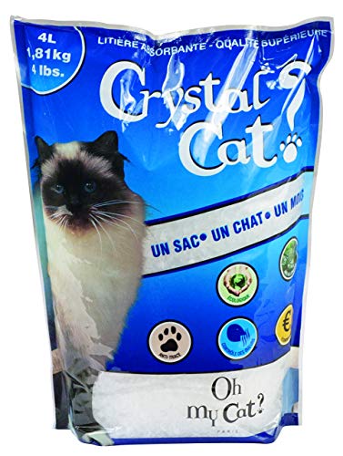 Chadog Kristallglas Katze Kristall 4 l von Chadog