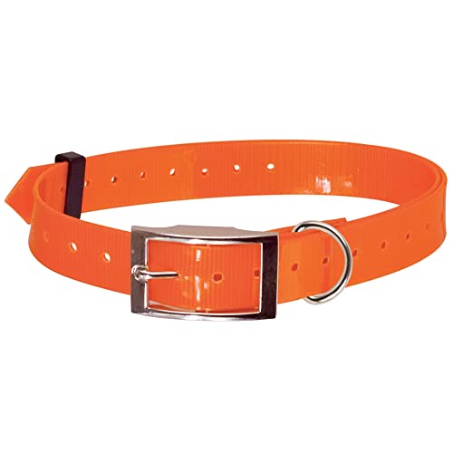 Doogy Hunde Halsband, Nylon/Polyurethan, 85 cm – 25 mm von Doogy