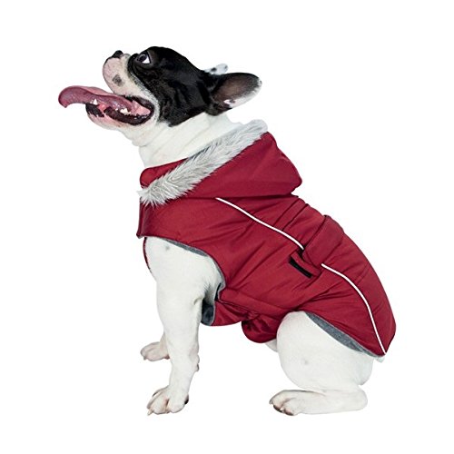 Softy Bulldog Daunenjacke T37 rot von Chadog