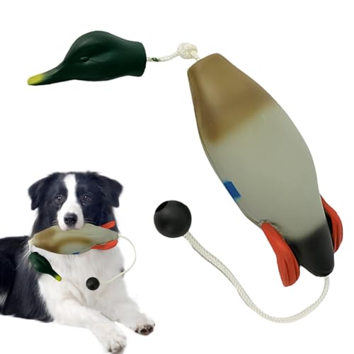 Chaies Enten-Hundespielzeug, Hundejagd-Trainingsspielzeug,Interaktives Hundespielzeug - Hundetrainingszubehör, Entenspielzeug für Hundesimulation, Tierform für Welpen von Chaies