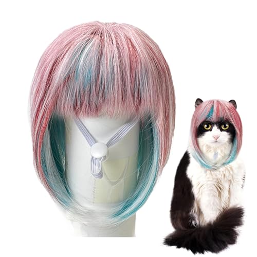 Chaies Lustige Katzenperücke, Cosplay -Perücke für Katze | Blue Pink Perücken Katzen Cosplay Fun,Fotografie Reisen Geting Hunde Kopfbedeckung für Rollenspielen im Freien im Freien für Masquerade, von Chaies