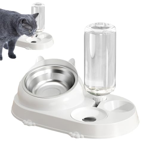 Katzenfutternapf, Katzenfutter-Wassernapf-Set, Katzennapf, 16 Grad Winkel, Rutschfester Wasserspender, Abnehmbares, spritzwassergeschütztes Haustierzubehör für Wohnzimmer, Häuser, Chaies von Chaies